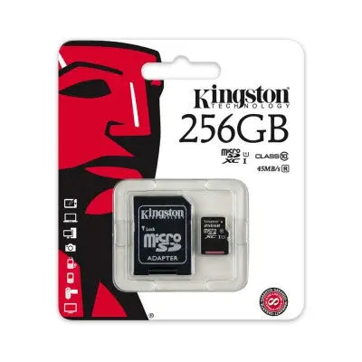 Kingston Canvas Select Plus microSD Card SDCS2 256GB - Class 10 co